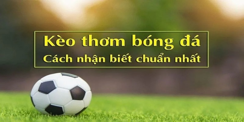 Kèo thơm bóng đá có cơ hội thắng cao được bet thủ yêu thích